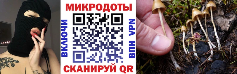 Галлюциногенные грибы мухоморы Плавск
